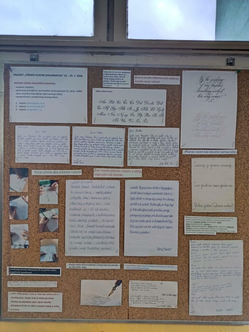 c01b80b6-3973-4c03-859b-6ddf7c4c184a